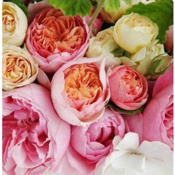 happyflowers808